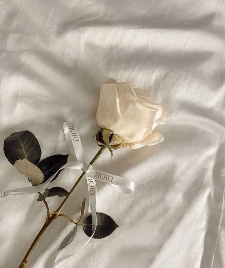 Adaptive Know Ledgebase workshop space where corporate flower arrangements are designed and prepared for business delivery